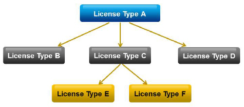 Example of a well-formed license-type hierarchy